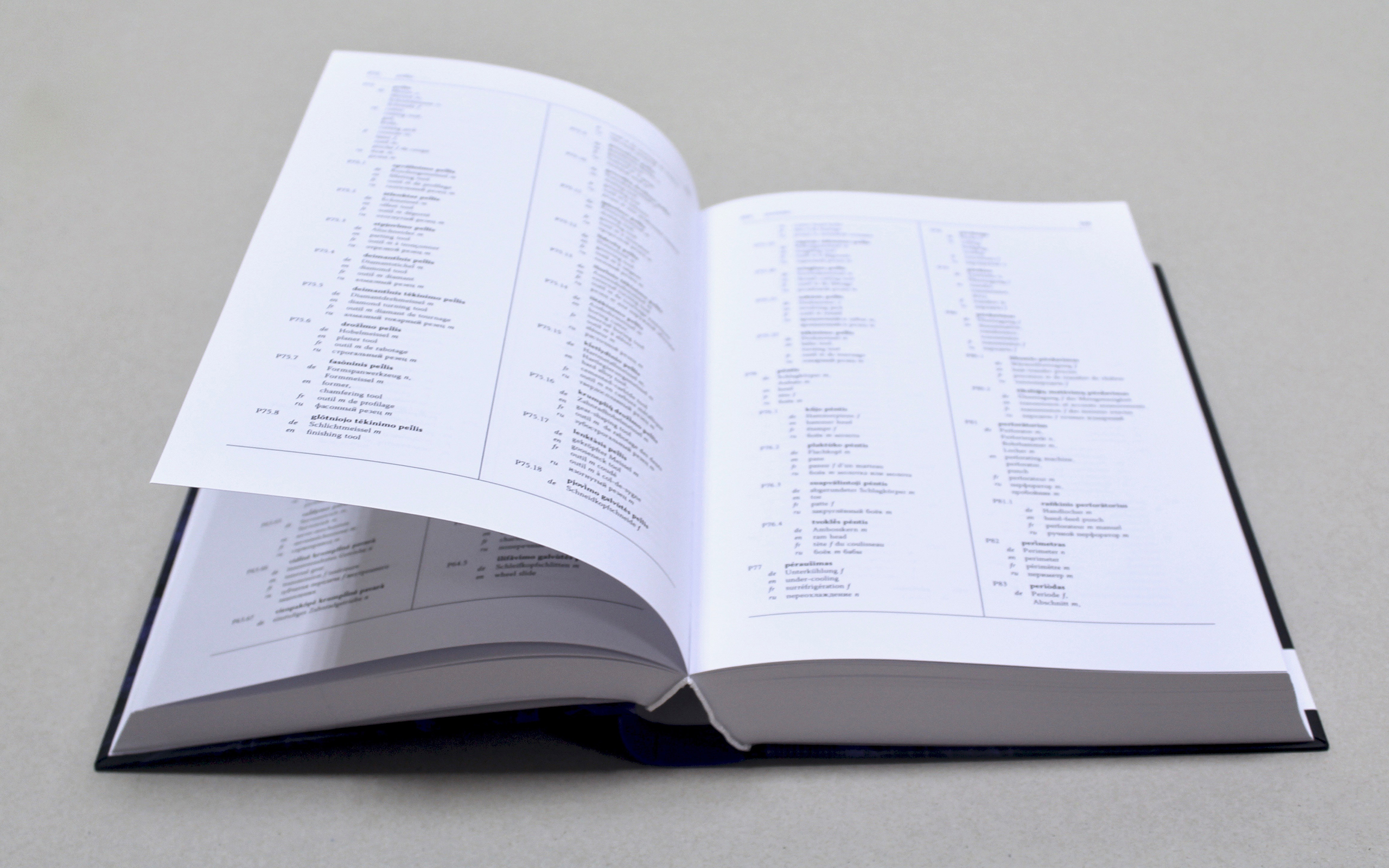 Illustrative image of the book